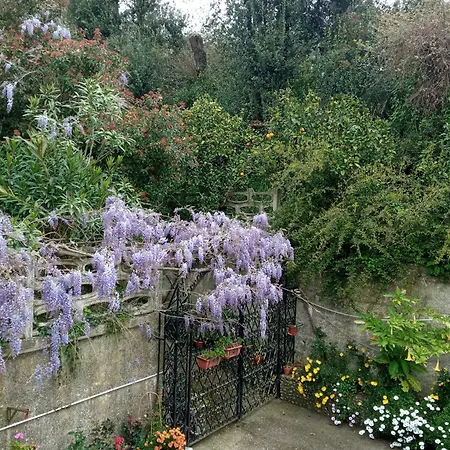 Belvedere Di Bed and breakfast
