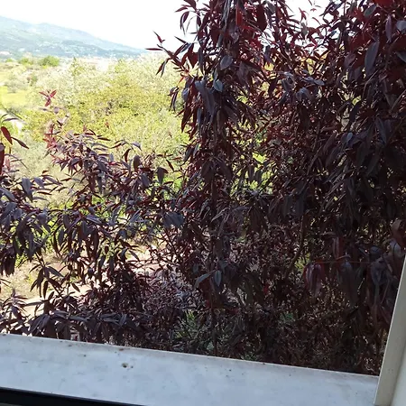 Bed and breakfast Belvedere Di *