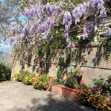 Frühstückspension Belvedere Di Caiazzo