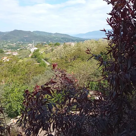 Belvedere Di Frühstückspension 3*