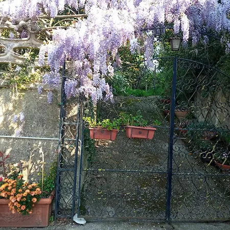 Belvedere Di Frühstückspension 3*