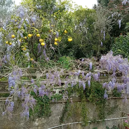 Frühstückspension Belvedere Di Caiazzo